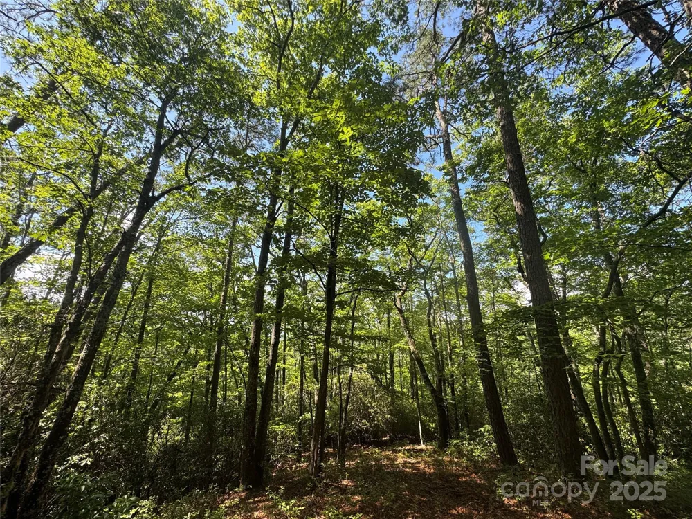 999 Ivy Lane Pisgah Forest, NC 28768