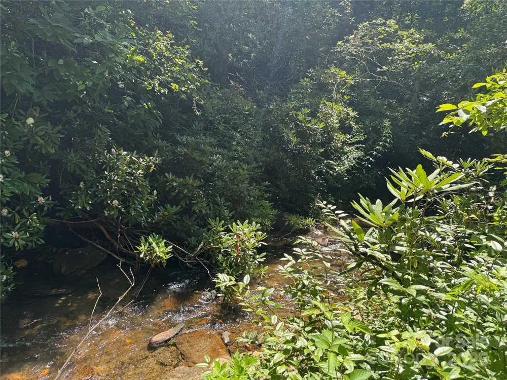 999 Ivy Lane Pisgah Forest, NC 28768