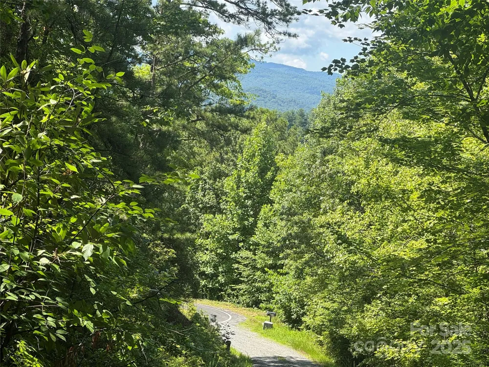 999 Ivy Lane Pisgah Forest, NC 28768