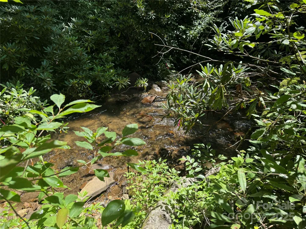 999 Ivy Lane Pisgah Forest, NC 28768