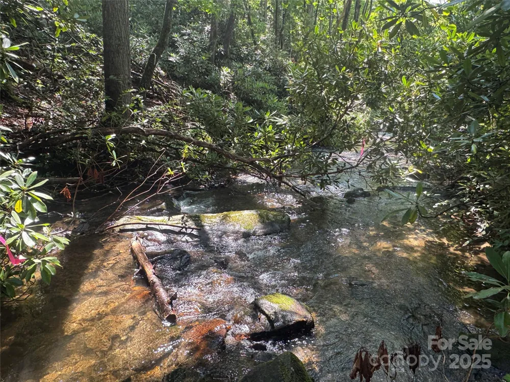 999 Ivy Lane Pisgah Forest, NC 28768