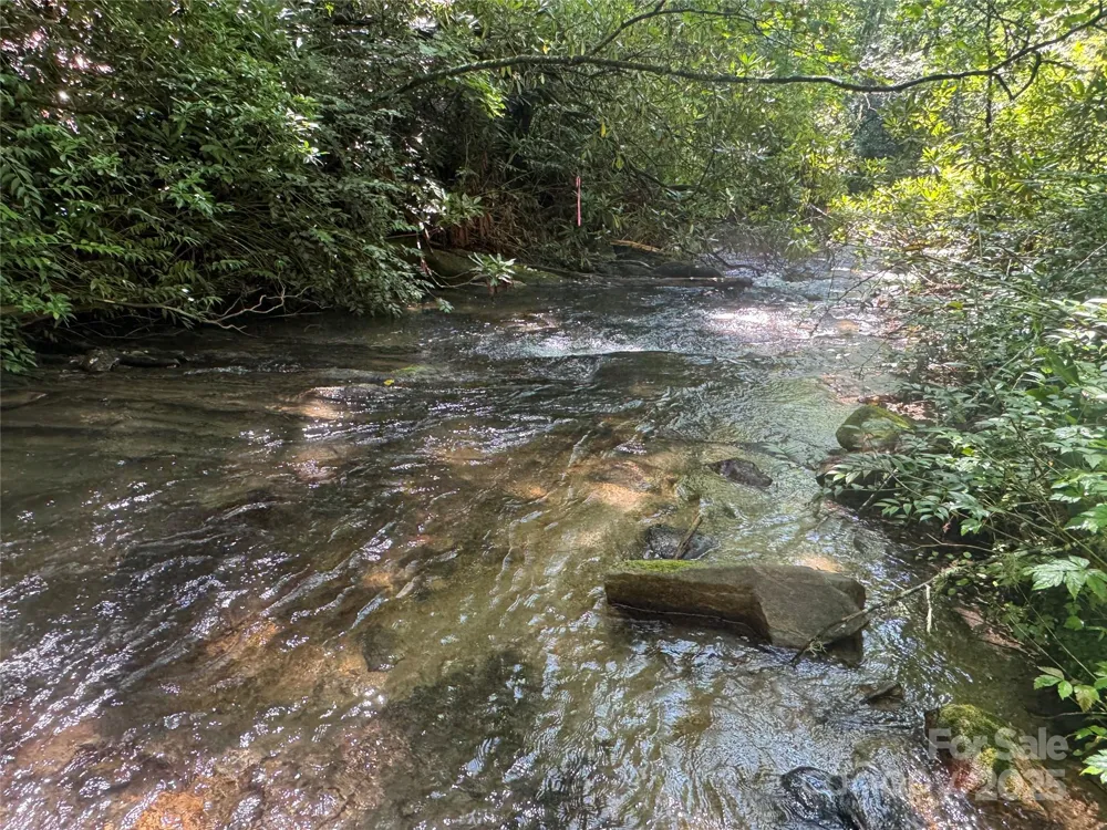 999 Ivy Lane Pisgah Forest, NC 28768