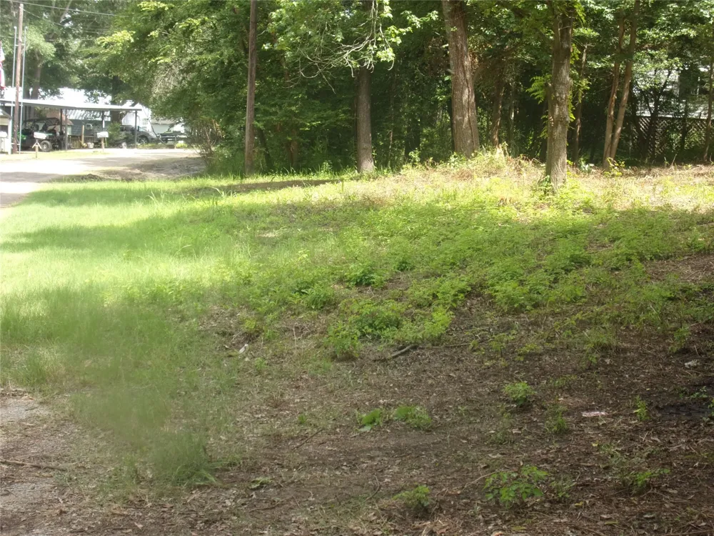 751 Dogwood Trail Murchison, TX 75778