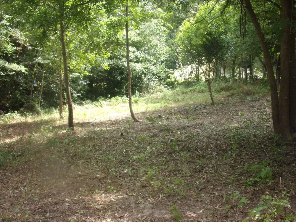 751 Dogwood Trail Murchison, TX 75778