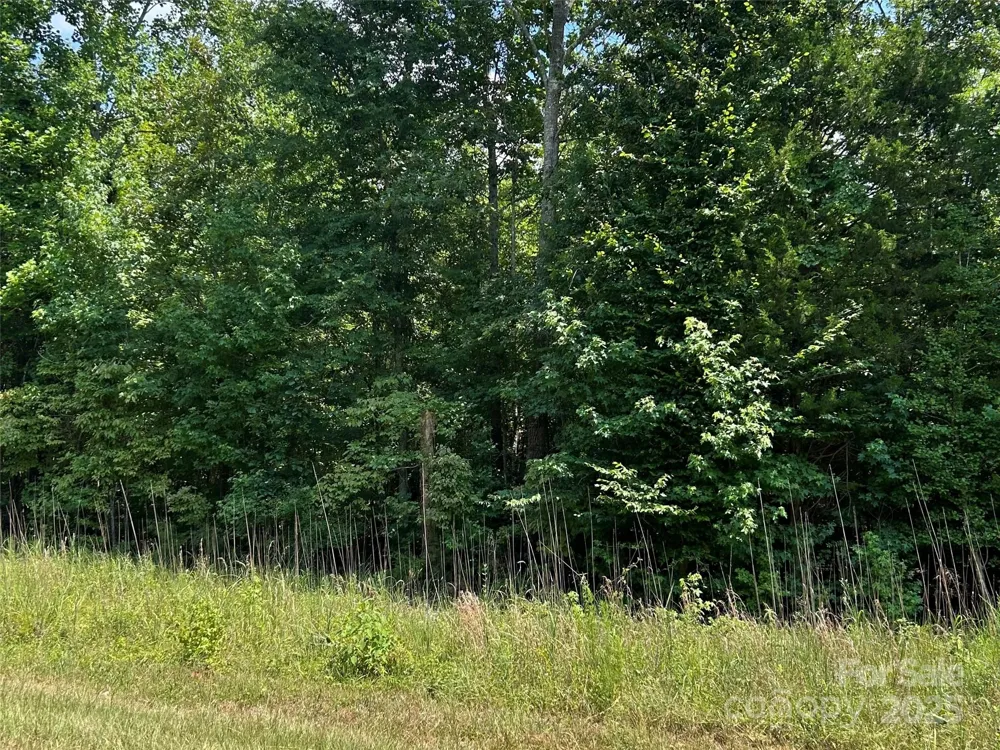 0000 Cabal Road Sharon, SC 29742