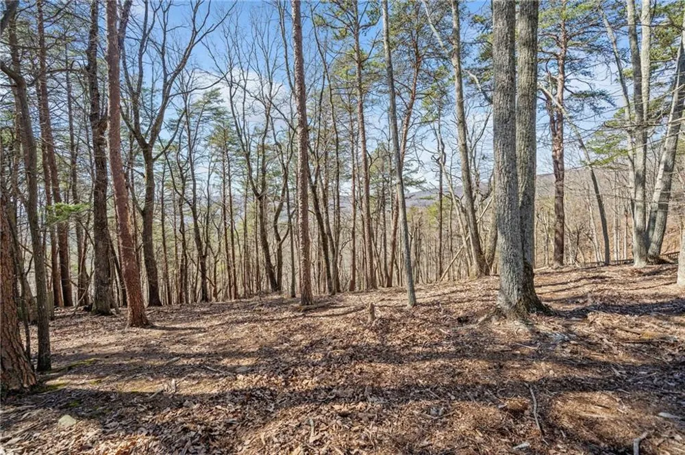 166 Ponderosa Lane Waleska, GA 30183