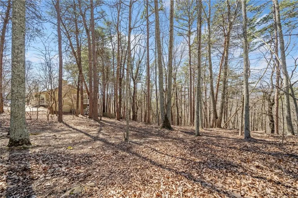 166 Ponderosa Lane Waleska, GA 30183