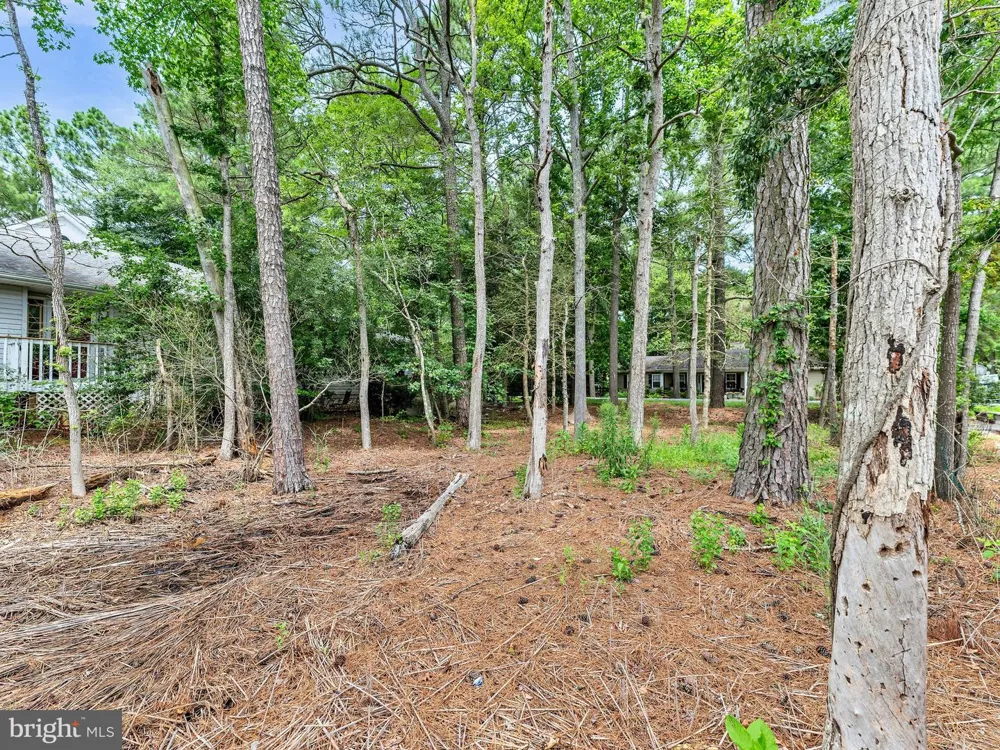 72 BOSTON DRIVE Ocean Pines, MD 21811