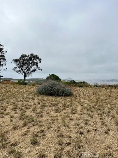 224 Butte Drive Los Osos, CA 93402