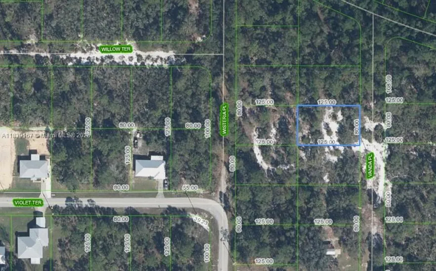 6809 VANDA PL Sebring, FL 33875
