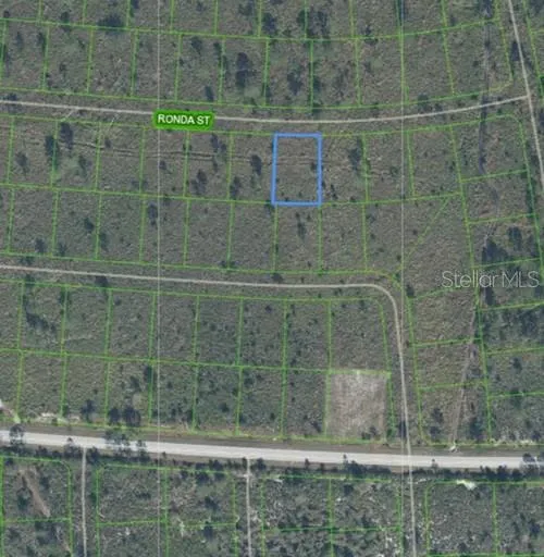 7811 RONDA STREET Sebring, FL 33872