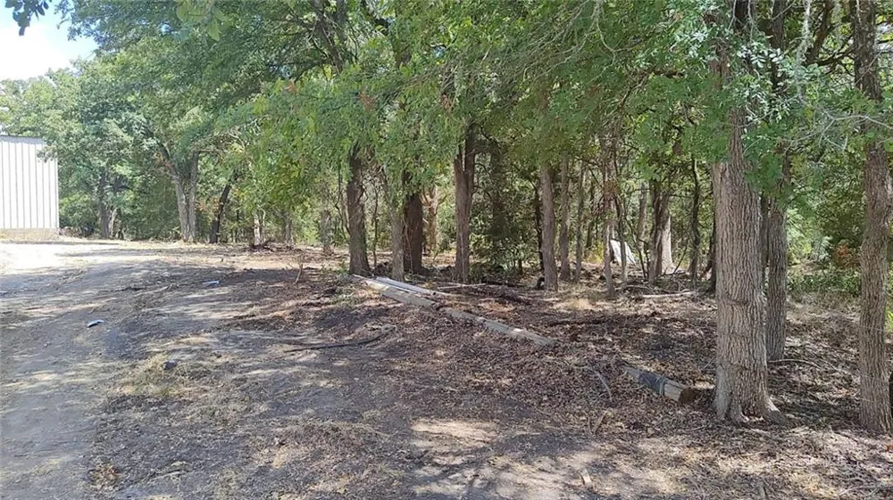 19219 Hog Eye Road Manor, TX 78653