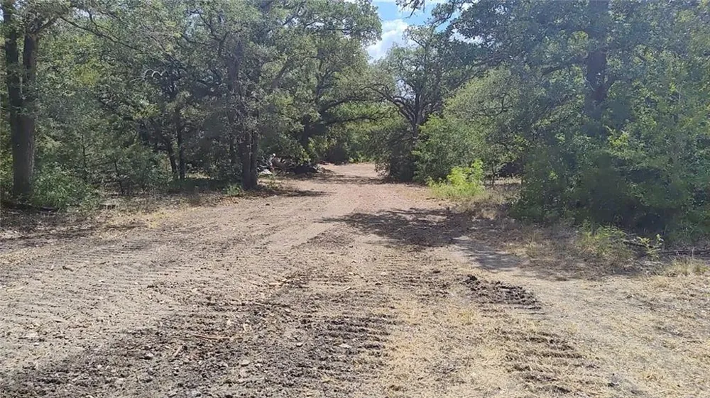 19219 Hog Eye Road Manor, TX 78653
