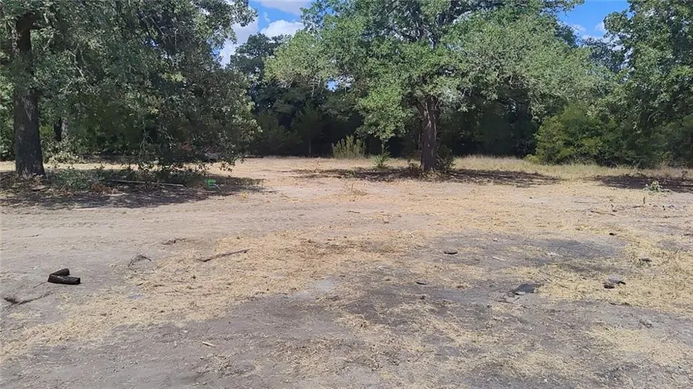 19219 Hog Eye Road Manor, TX 78653