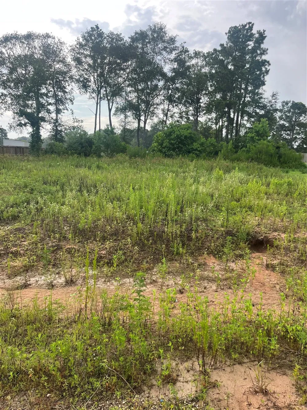 315 37301 Splendora, TX 77372