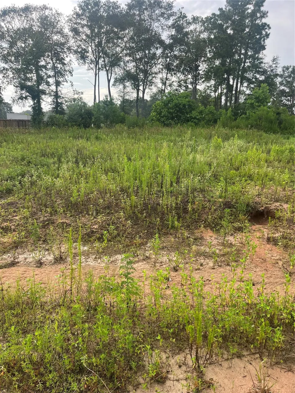 315 37301 Splendora, TX 77372