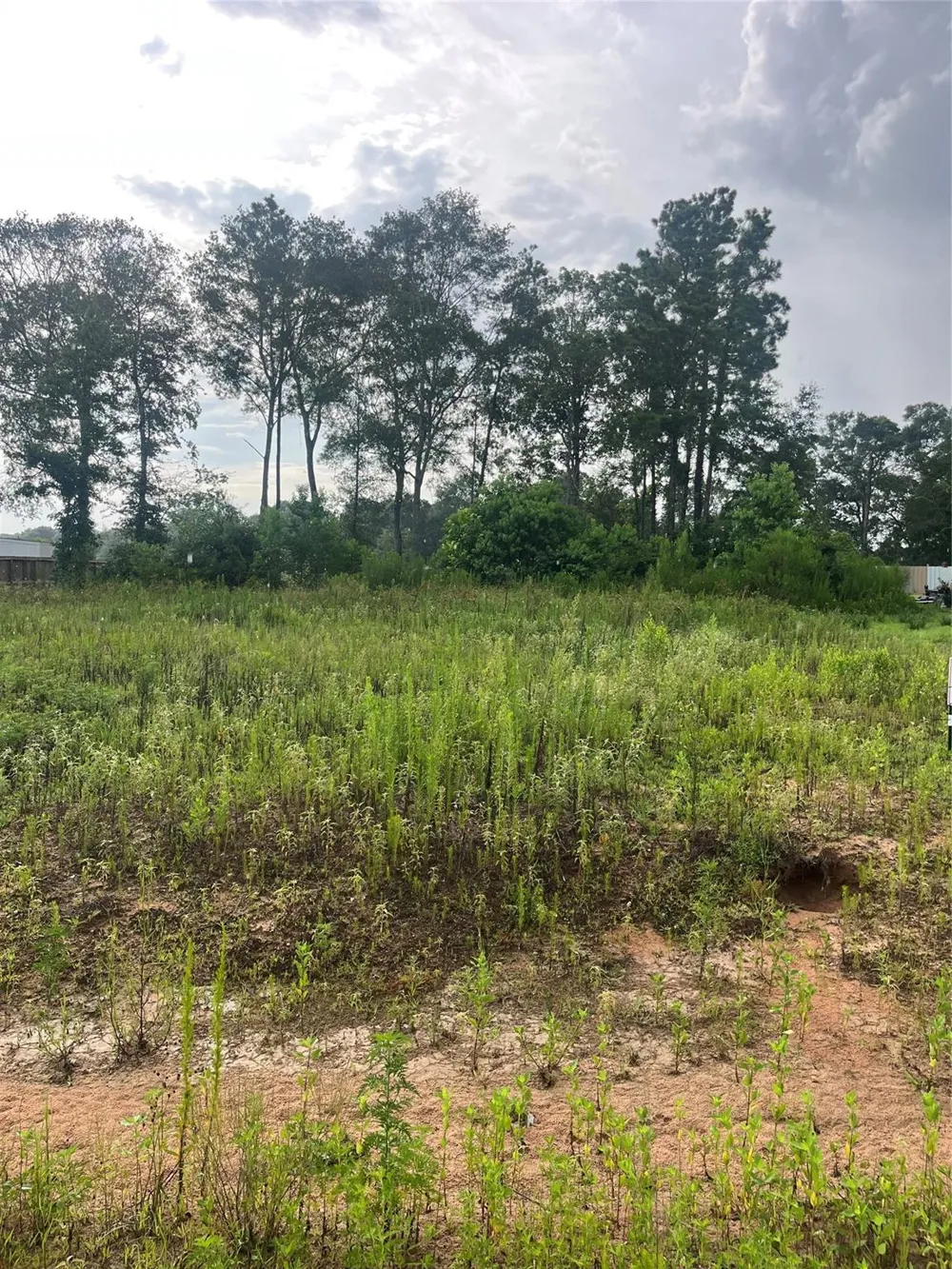 315 37301 Splendora, TX 77372