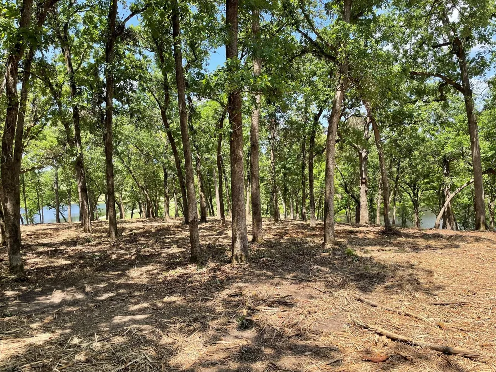 157 Pr 1311 Centerville, TX 75833