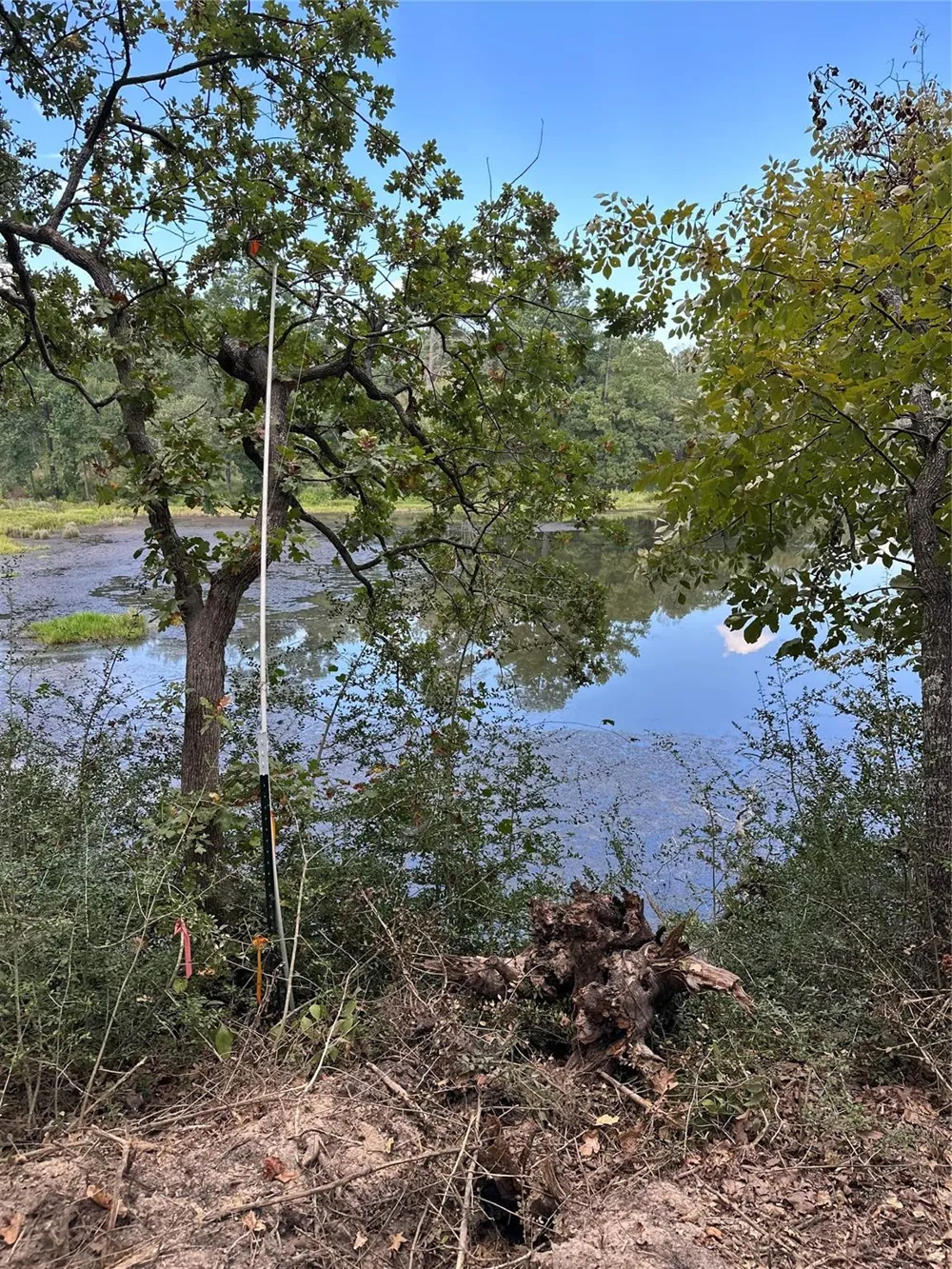 157 Pr 1311 Centerville, TX 75833