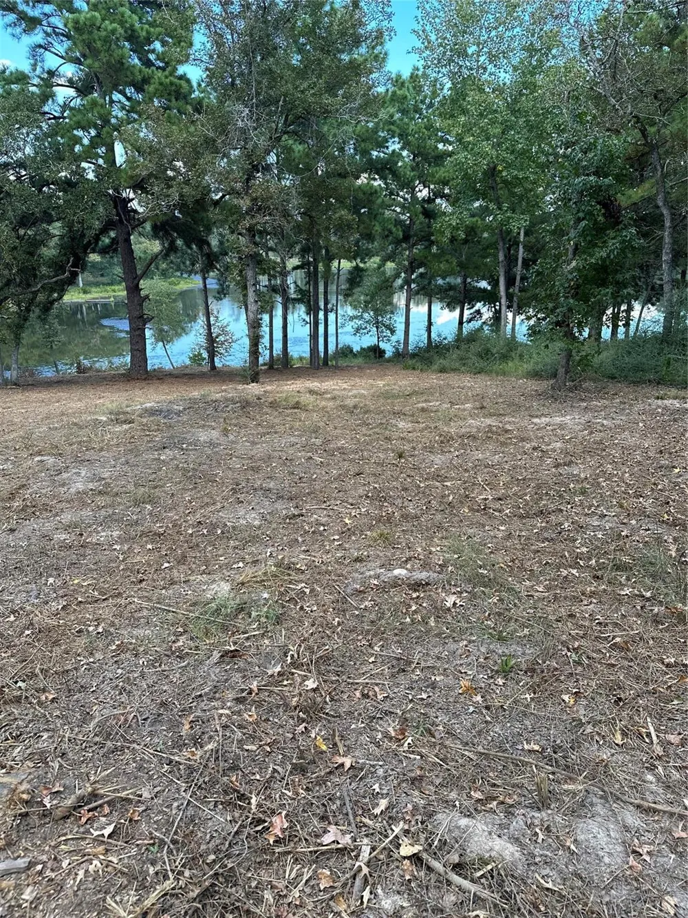 157 Pr 1311 Centerville, TX 75833