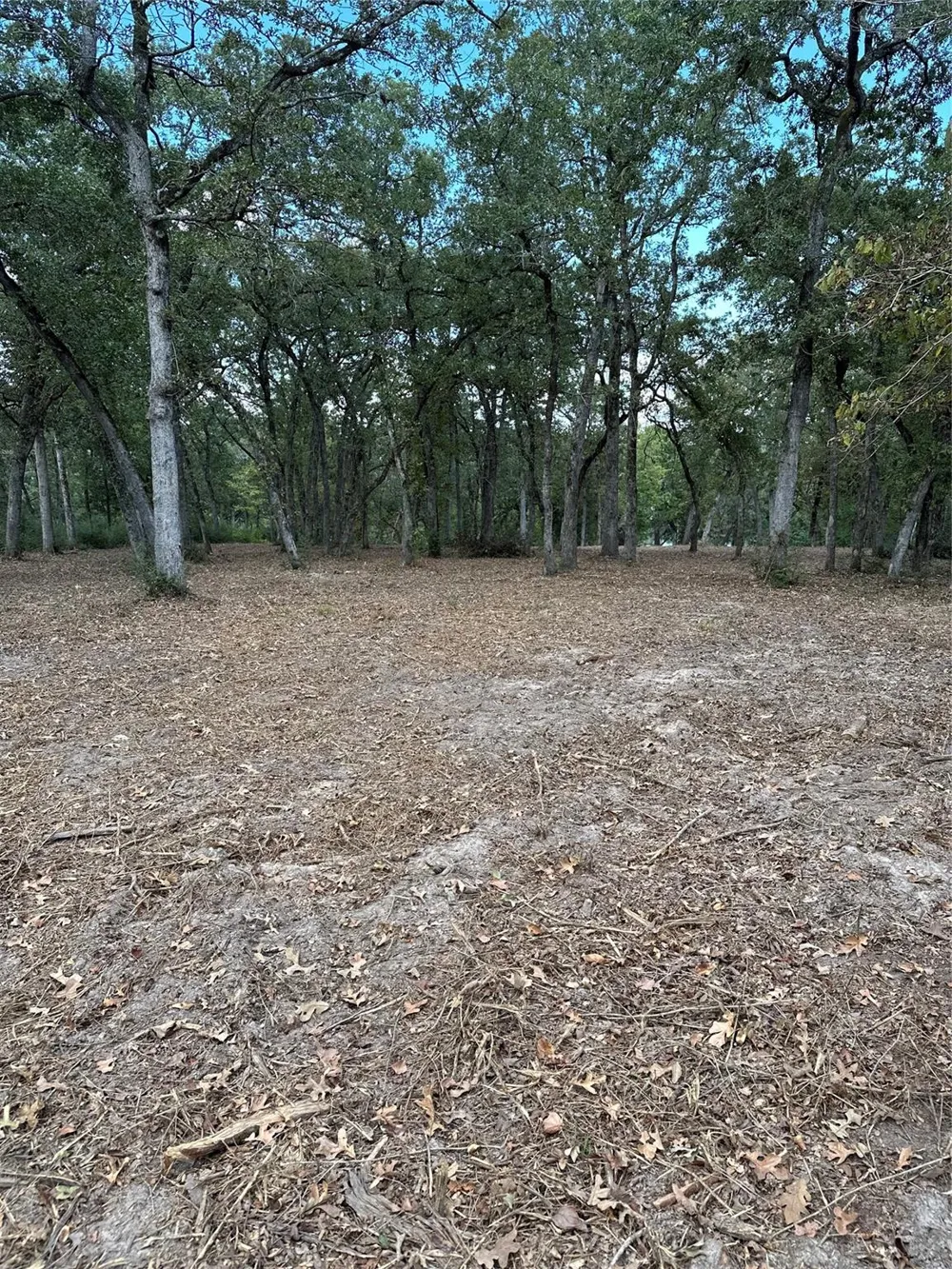 157 Pr 1311 Centerville, TX 75833