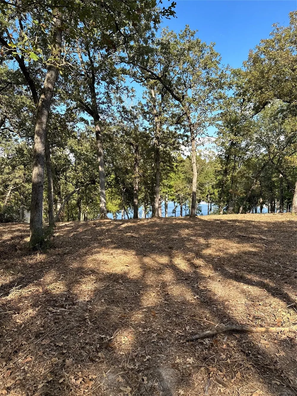 157 Pr 1311 Centerville, TX 75833