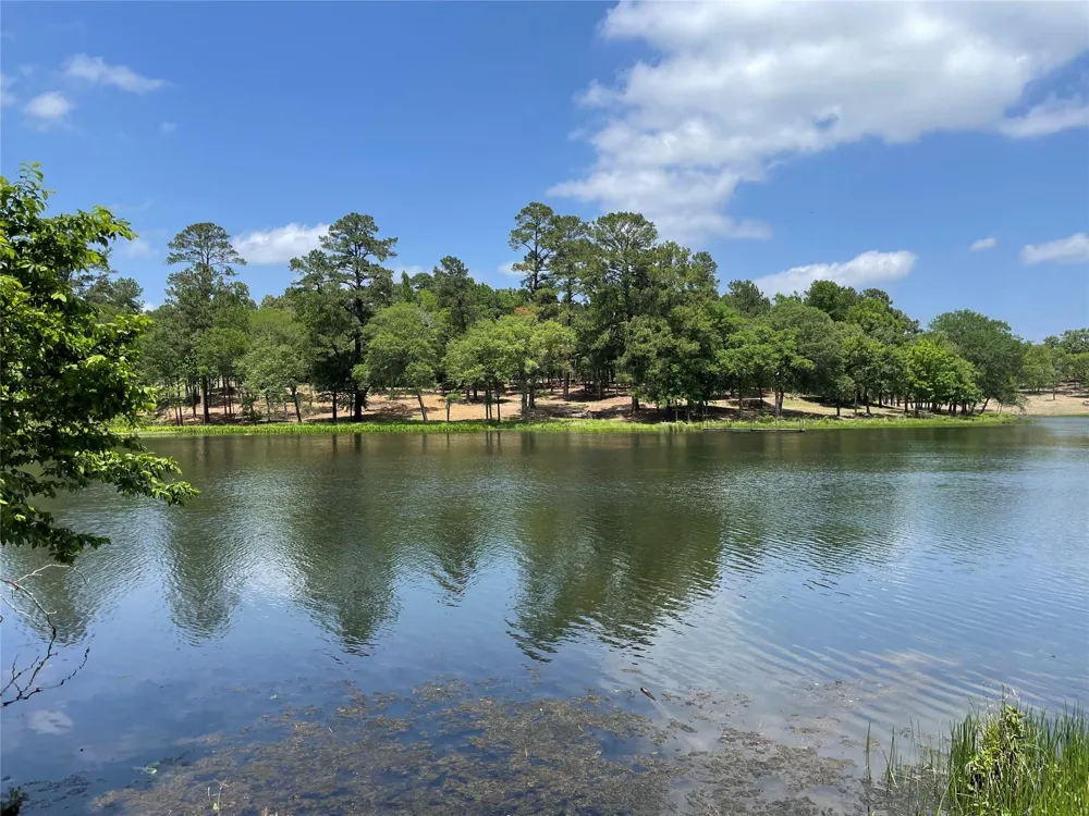 157 Pr 1311 Centerville, TX 75833