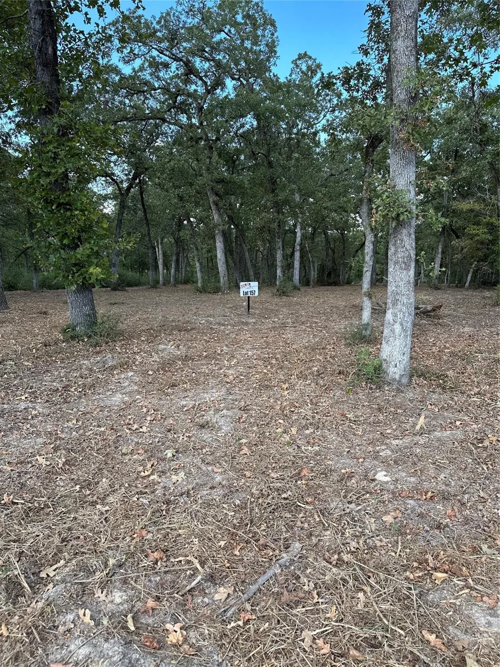 157 Pr 1311 Centerville, TX 75833