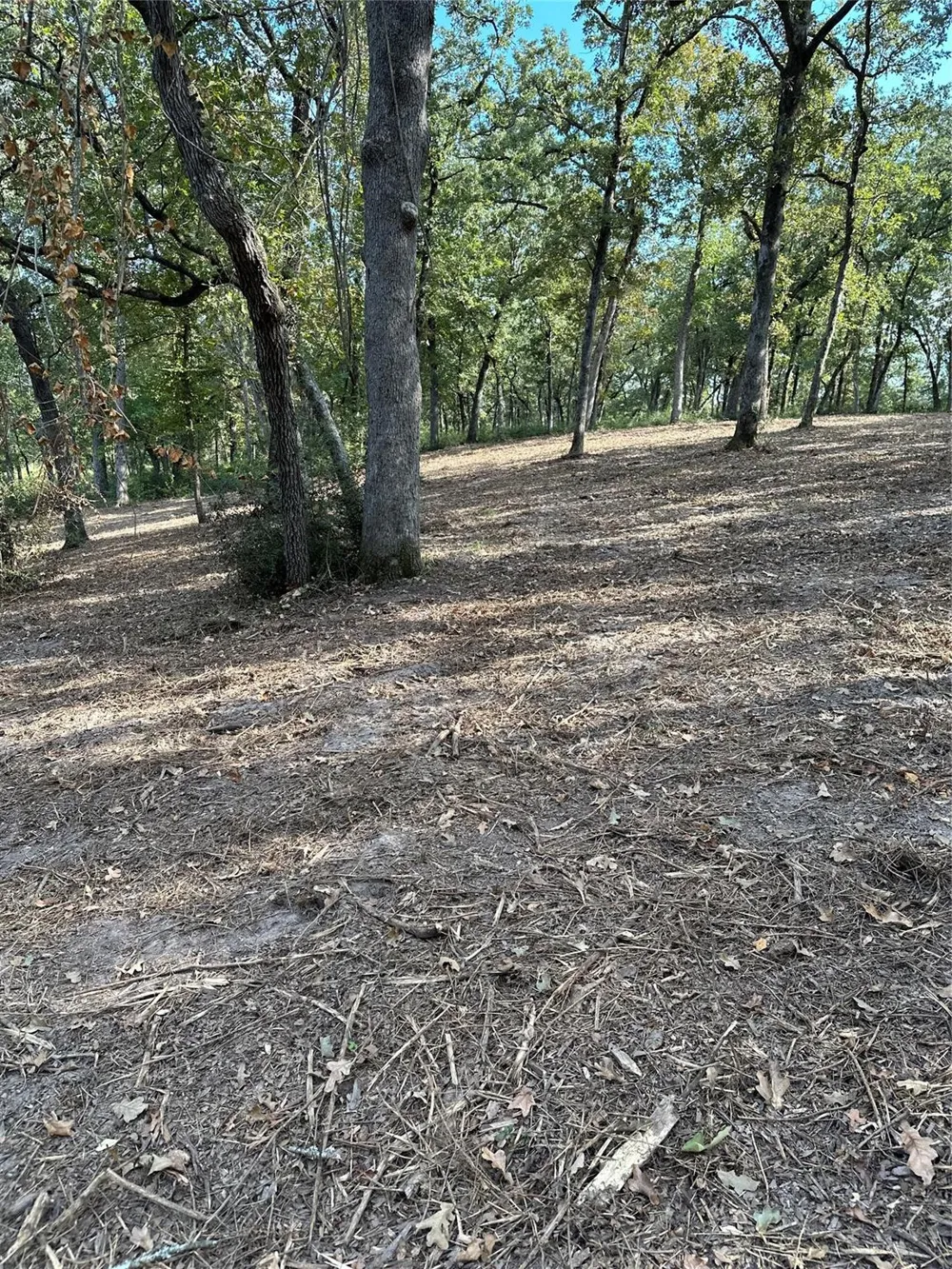 157 Pr 1311 Centerville, TX 75833