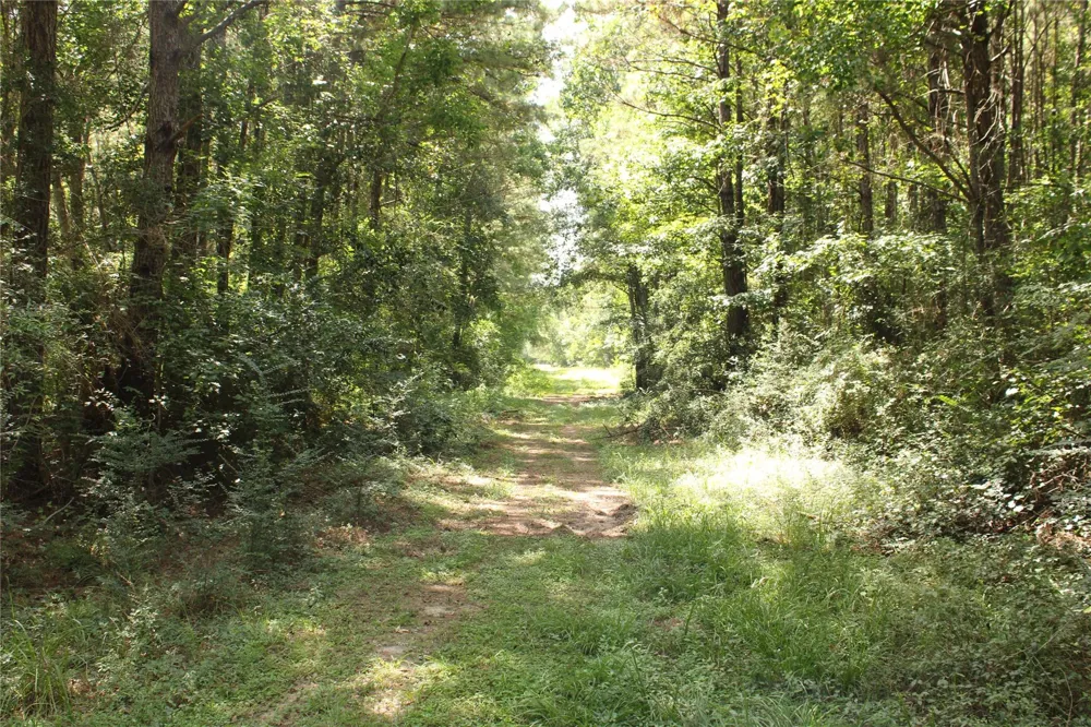 10th Street Shepherd, TX 77371