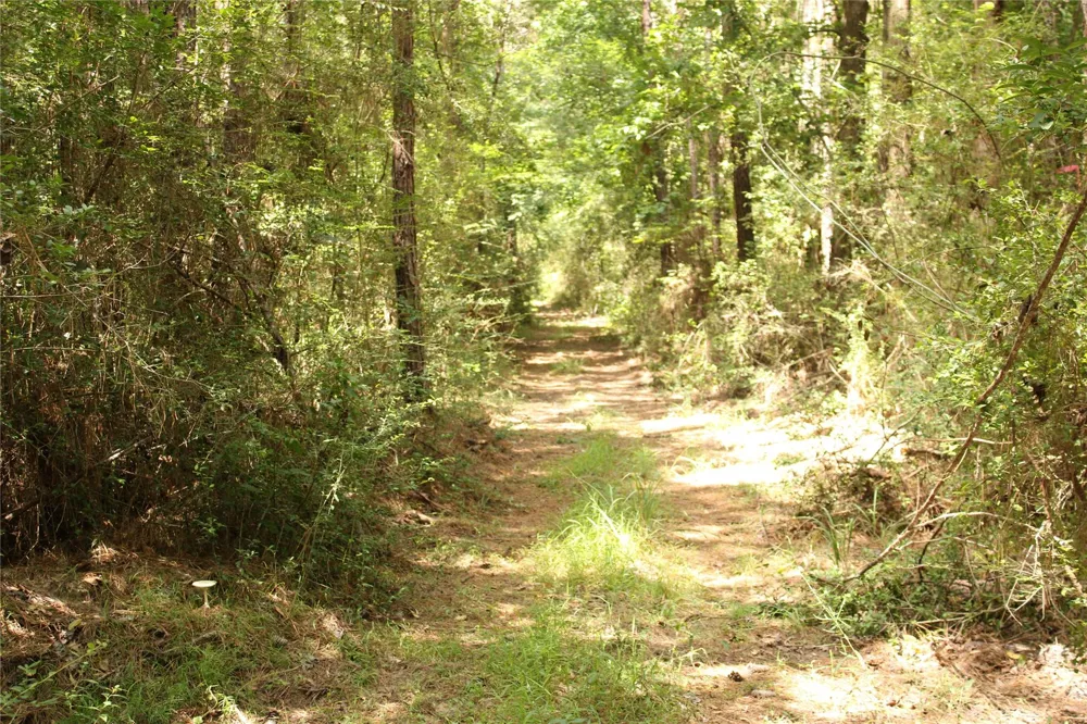 10th Street Shepherd, TX 77371