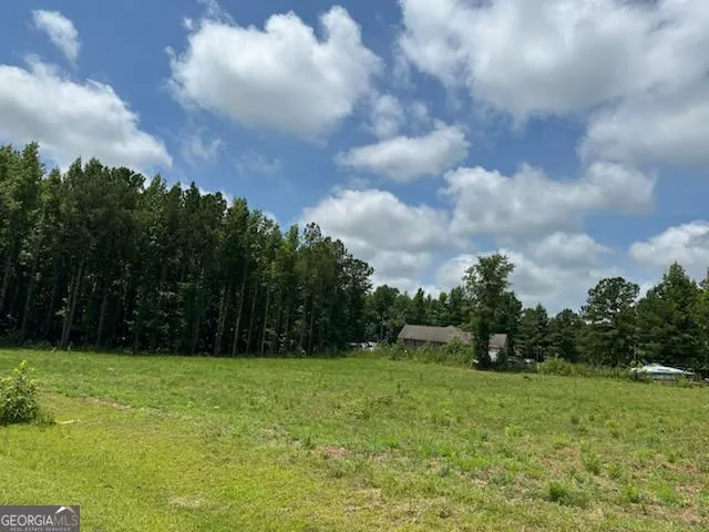 102 Antlers TRL Hephzibah, GA 30815