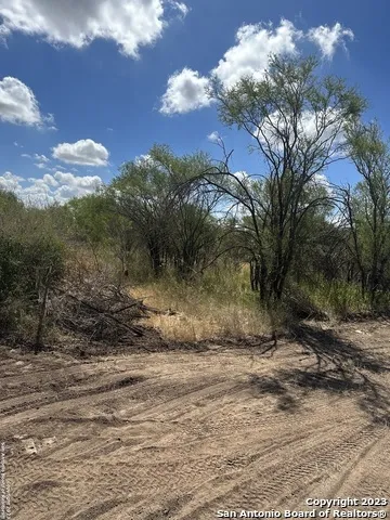 000 Old Hwy 90 Sabinal, TX 78881