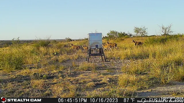 0 Kincaid Road Ozona, TX 76943