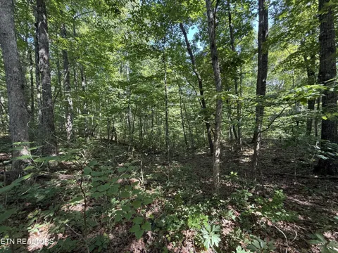 2 E Cove Rd