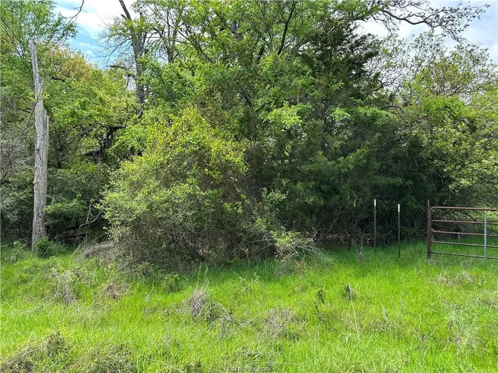 Hickory Loop Road Thornton, TX 76687