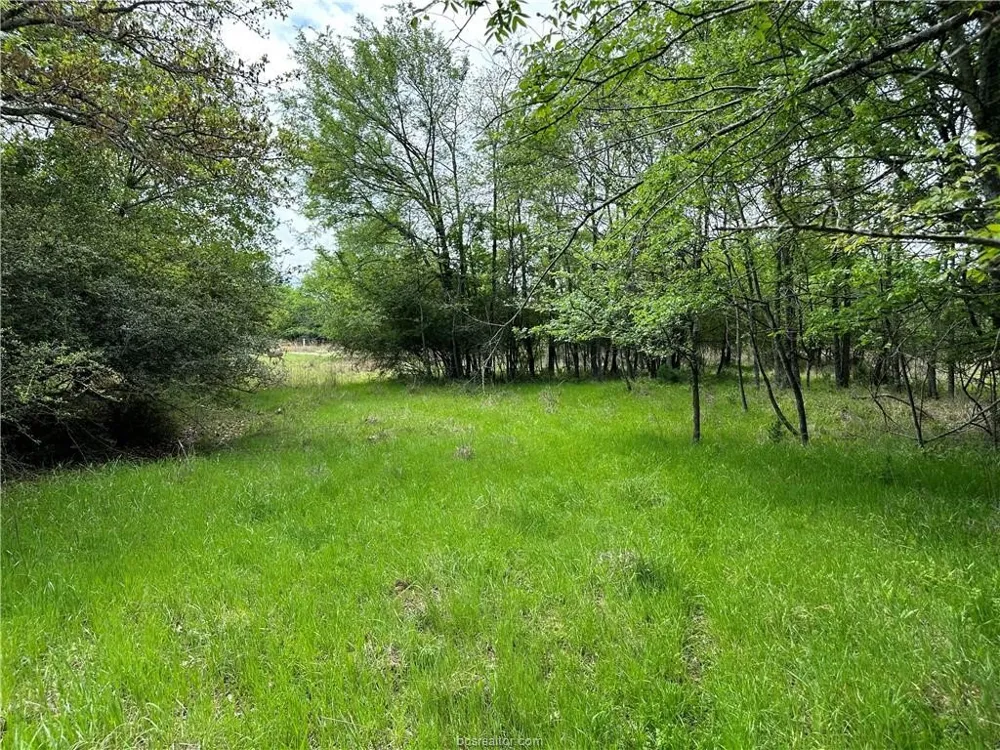 Hickory Loop Road Thornton, TX 76687