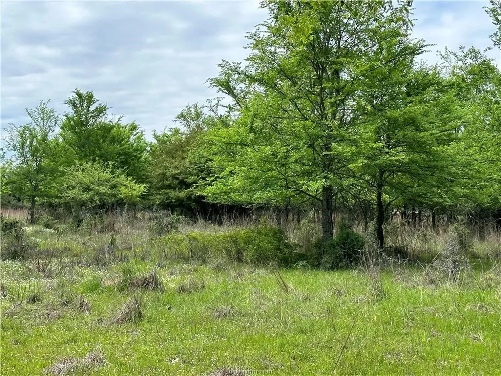 Hickory Loop Road Thornton, TX 76687