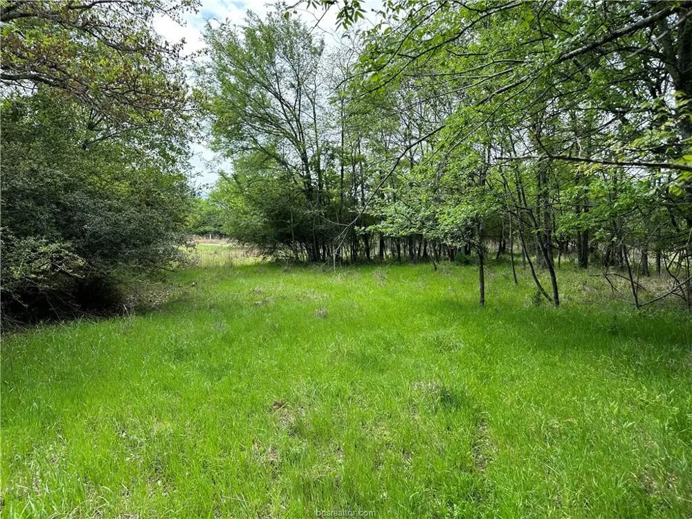Hickory Loop Road Thornton, TX 76687