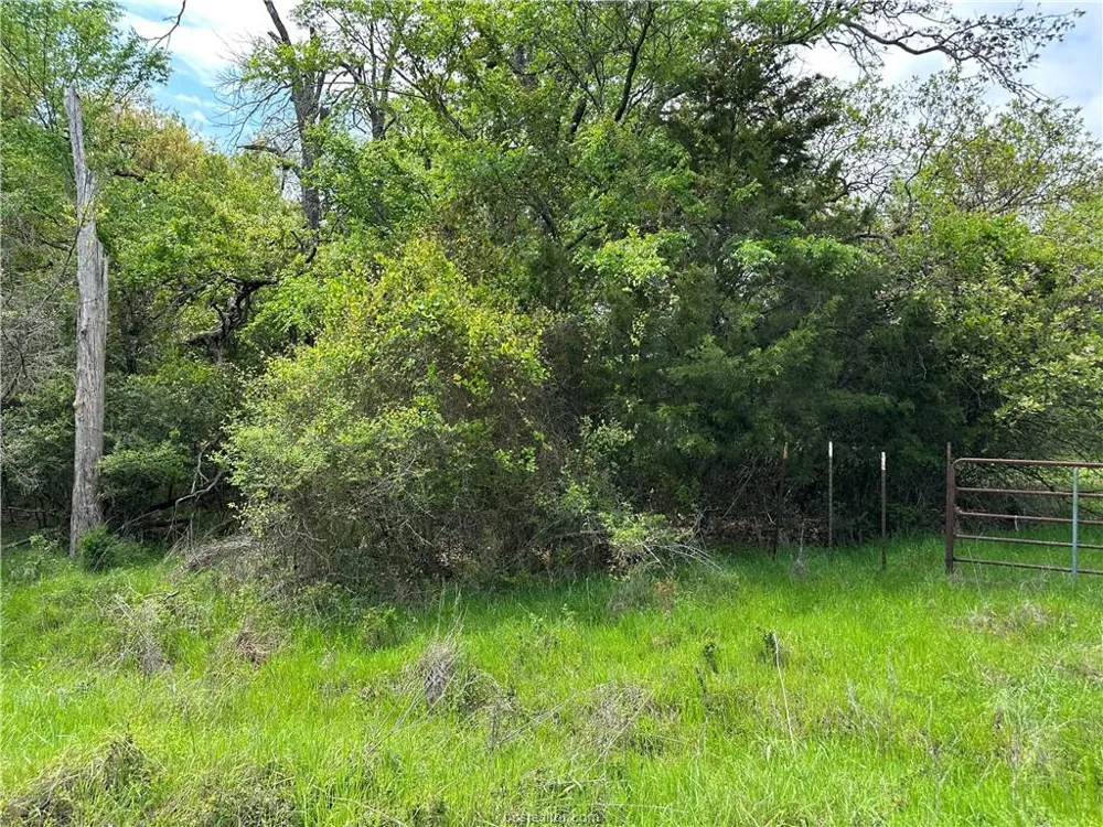 Hickory Loop Road Thornton, TX 76687