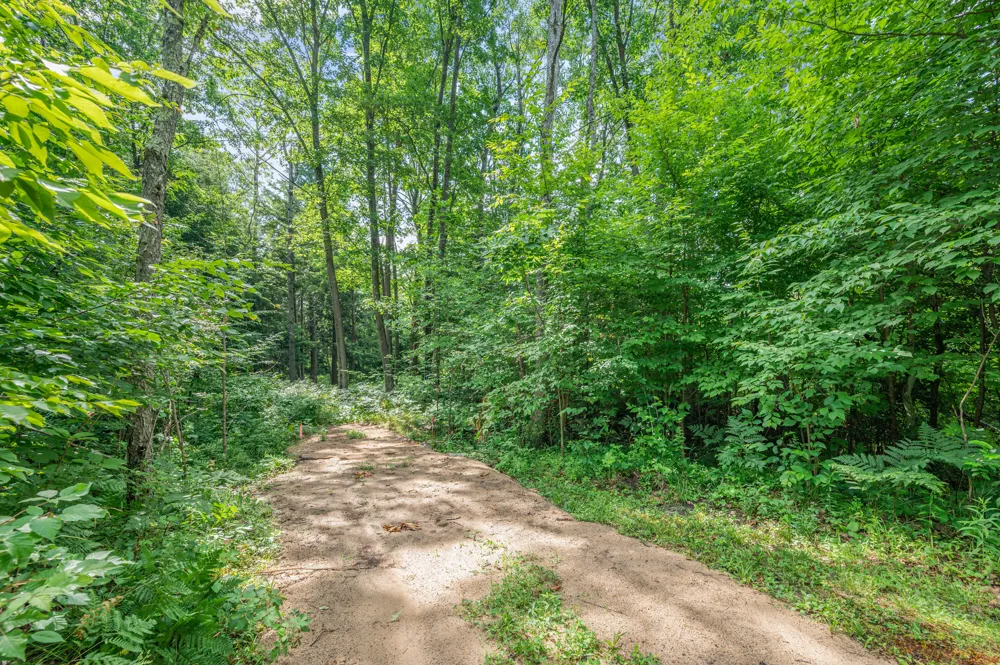8558 Monterey  Dr Evart, MI 49631