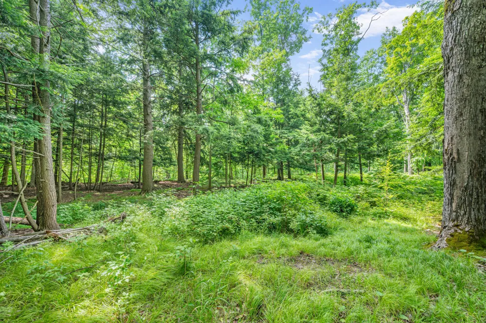 8558 Monterey  Dr Evart, MI 49631