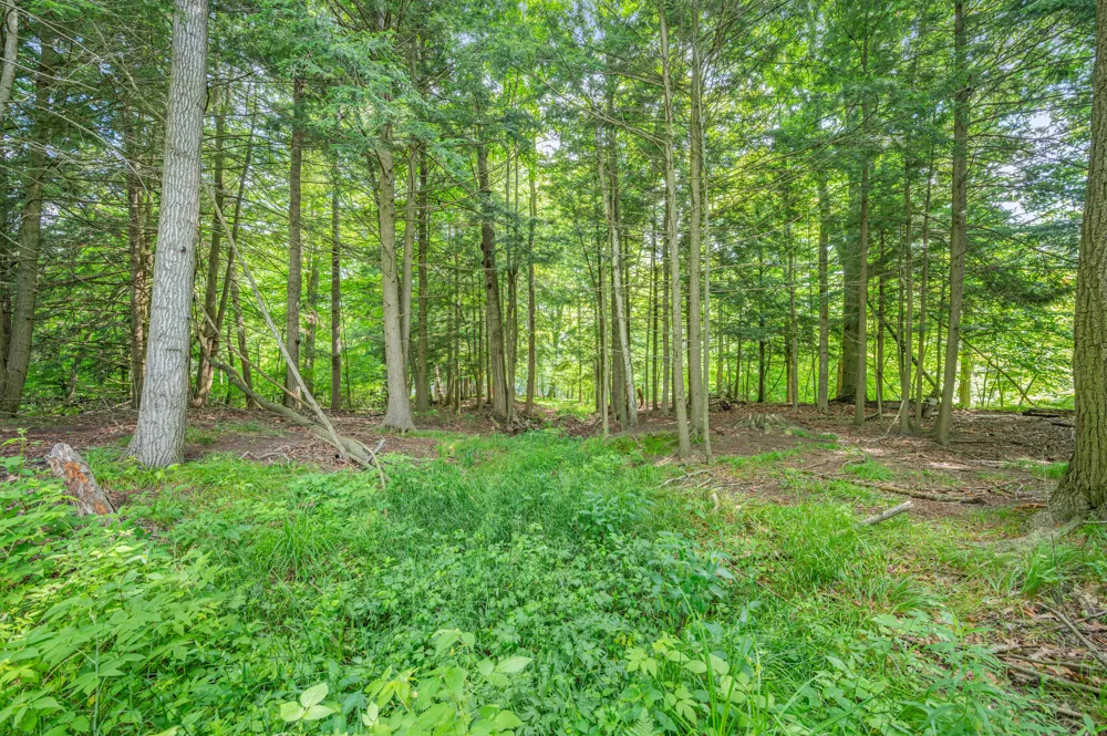 8558 Monterey  Dr Evart, MI 49631
