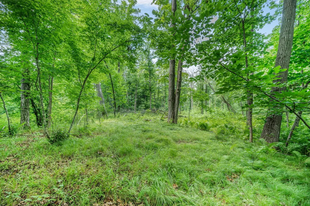 8558 Monterey  Dr Evart, MI 49631