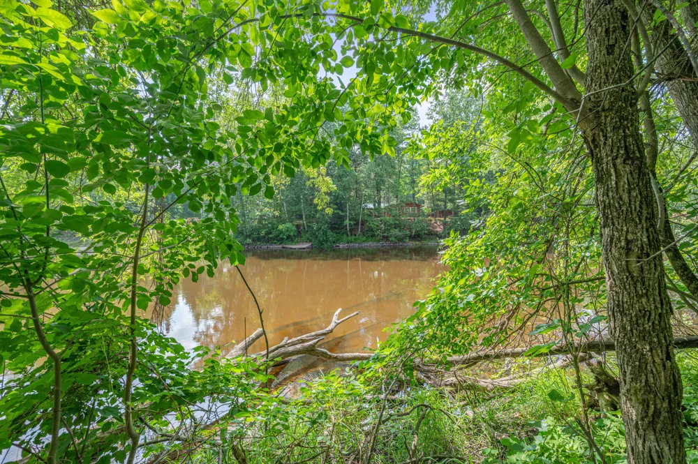 8558 Monterey  Dr Evart, MI 49631