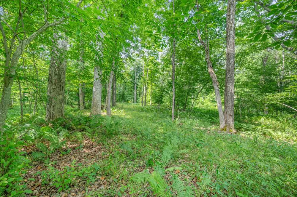 8558 Monterey  Dr Evart, MI 49631