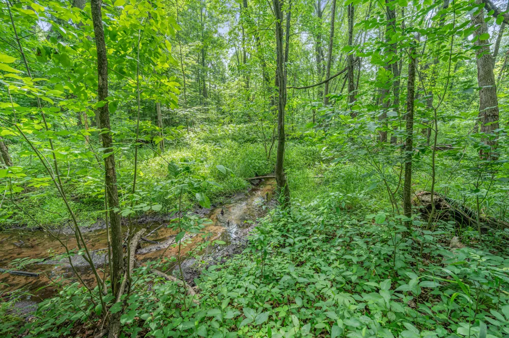 8558 Monterey  Dr Evart, MI 49631