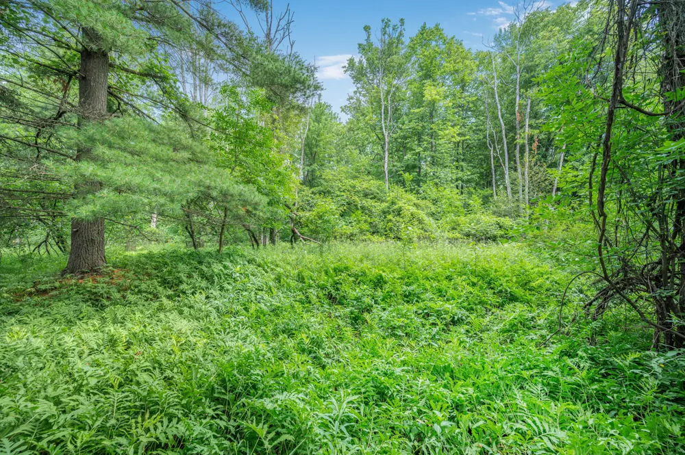 8558 Monterey  Dr Evart, MI 49631