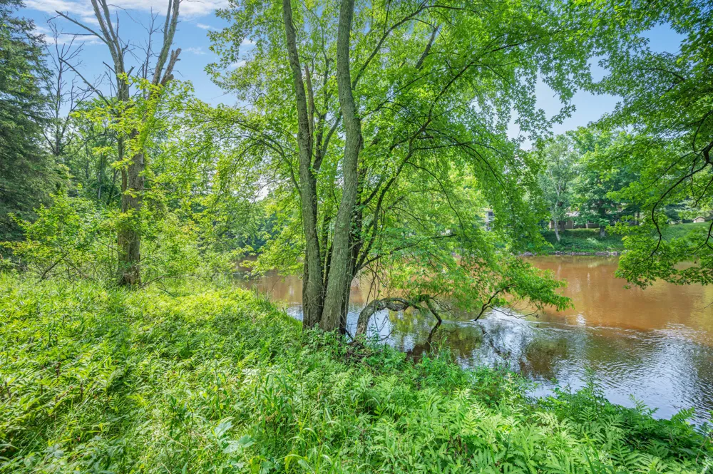 8558 Monterey  Dr Evart, MI 49631