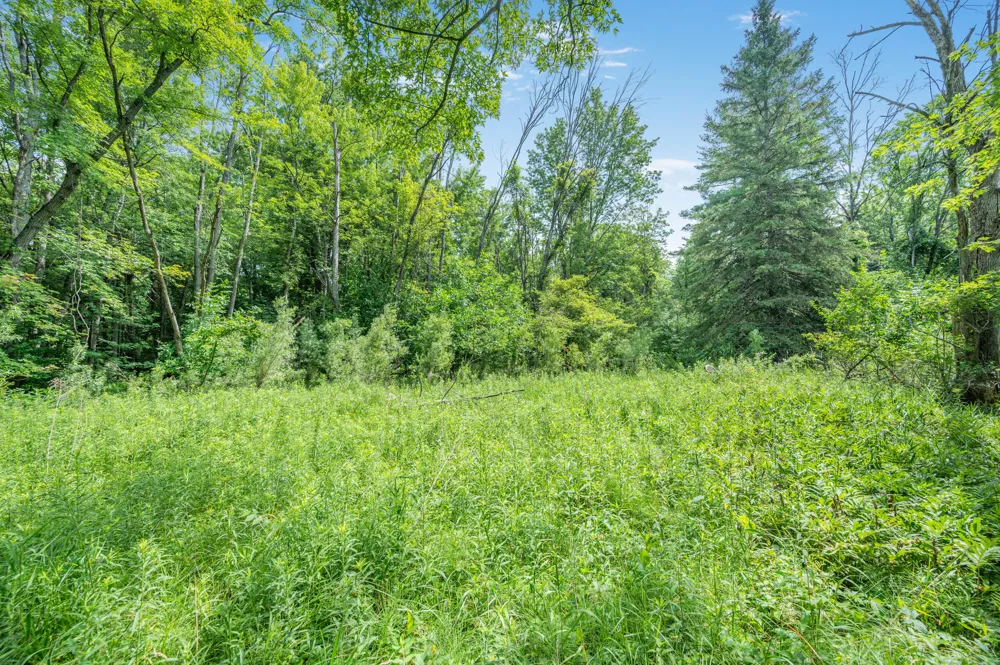8558 Monterey  Dr Evart, MI 49631